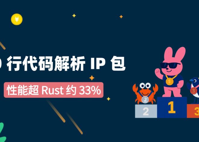 Kinerja melebihi Rust sekitar 33%, 10 baris kode mem-parsing paket IP
